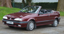 Крепежни елементи и щипки за RENAULT 19 II (D53_, 853_) Cabriolet от 1992 до 2001