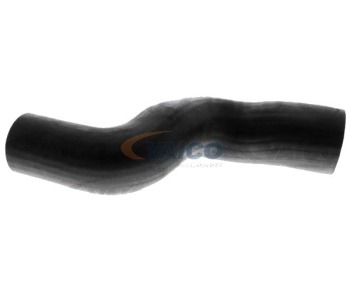 221896.jpg