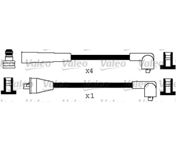 252031.jpg