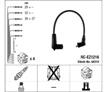253797.jpg