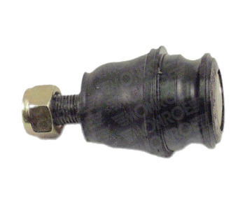 281663.jpg