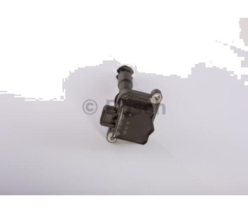 291725-2.jpg