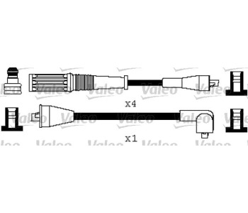293473.jpg