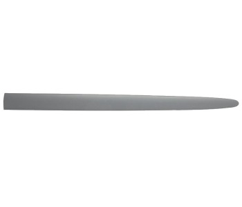 294253.jpg