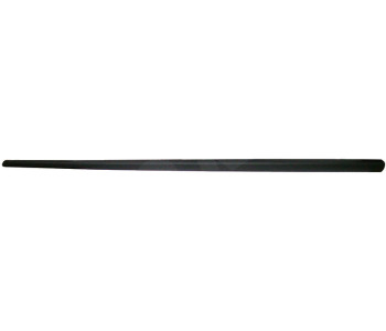 295403.jpg