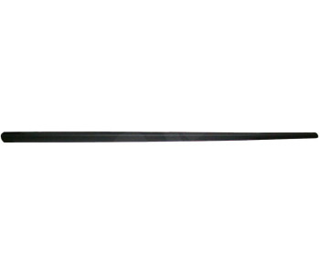 295404.jpg