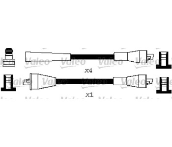 295570.jpg