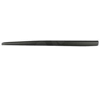 295844.jpg