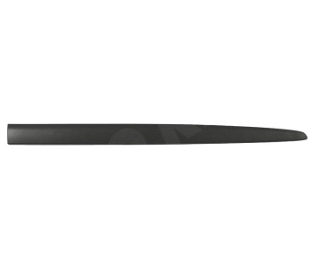 295846.jpg