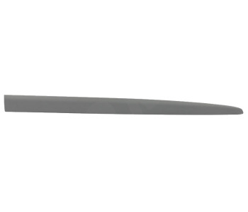 295847.jpg