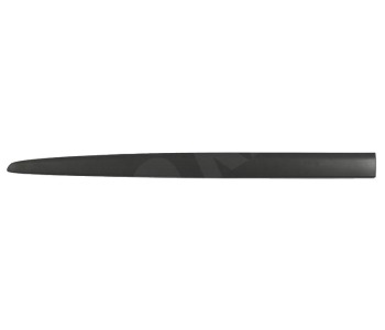 295848.jpg