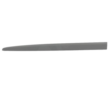 295849.jpg