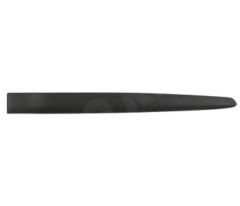 295850.jpg