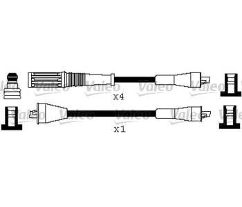 296029.jpg