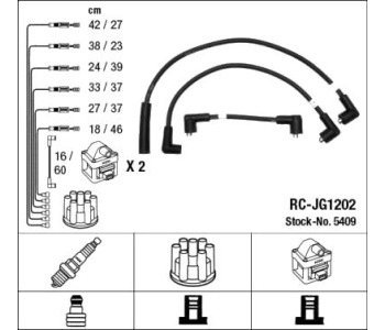300029.jpg