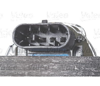 300037-1.jpg