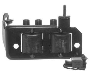 313577-2.jpg