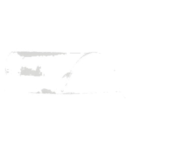 316574.jpg