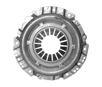 317604.jpg