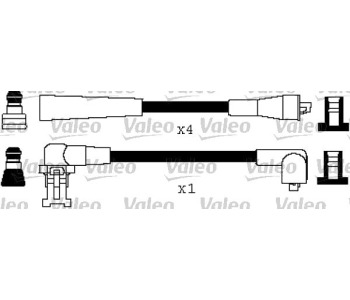 343038.jpg