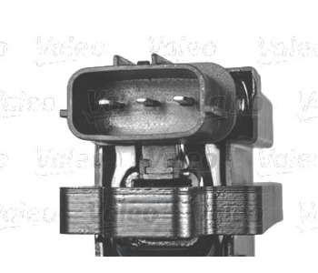 349906-1.jpg