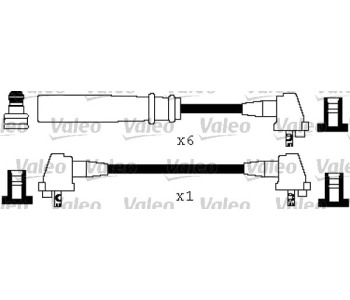 351436.jpg