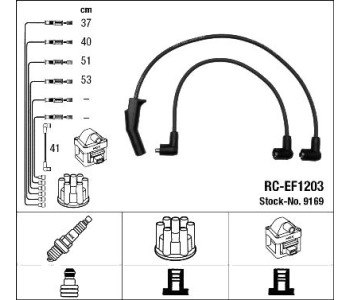359606.jpg