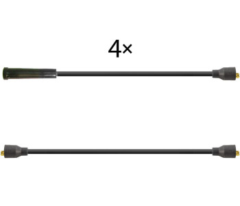 362209.jpg