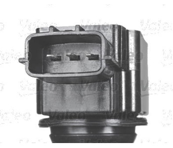 364306-1.jpg