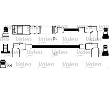 371006.jpg