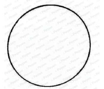 460409.jpg