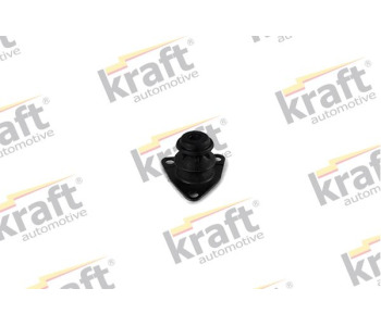 460908.jpg