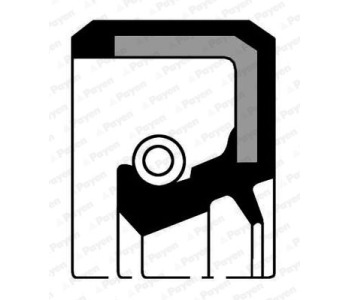 466110.jpg