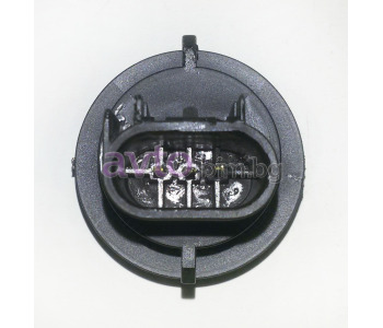 67329-2.jpg