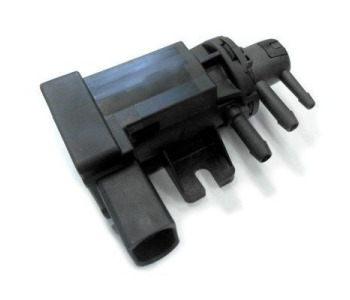 783056.jpg