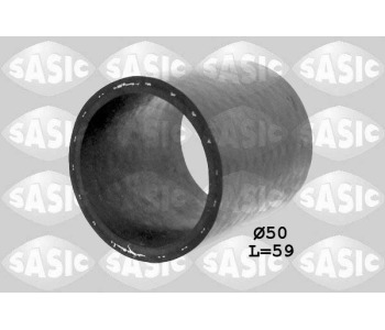 786013.jpg