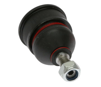 79542-1.jpg