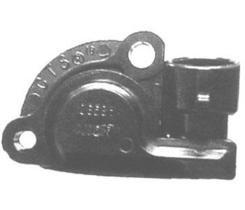 795985.jpg