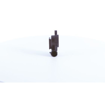 796029-4.jpg