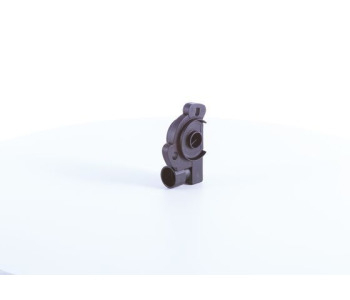 796029.jpg