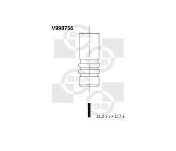 796229.jpg