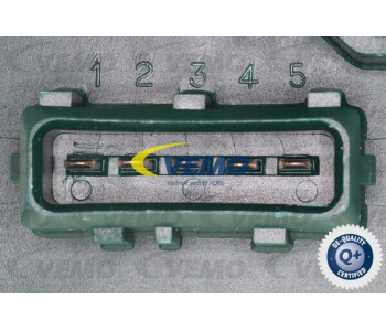 800916.jpg