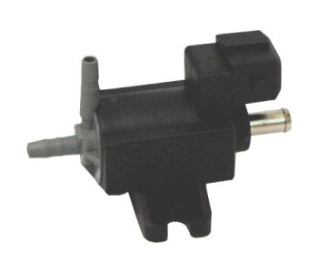 815405.jpg