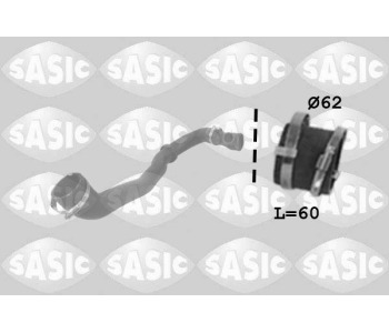 817075.jpg